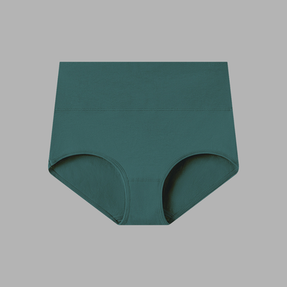 ContourFit High-Waist Underwear